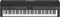 Roland FP-90X schwarz Vorschaubild
