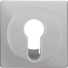 Berker Q.1/Q.3 Zentralstück für Schlüsselschalter/-taster, alu samt, lackiert
