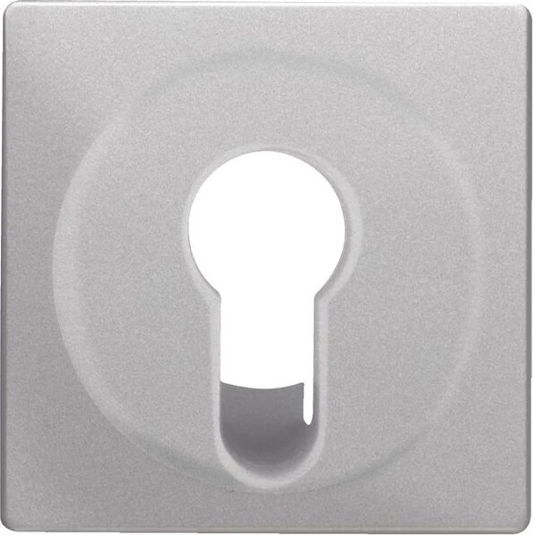 Berker Q.1/Q.3 Zentralstück für Schlüsselschalter/-taster, alu samt, lackiert