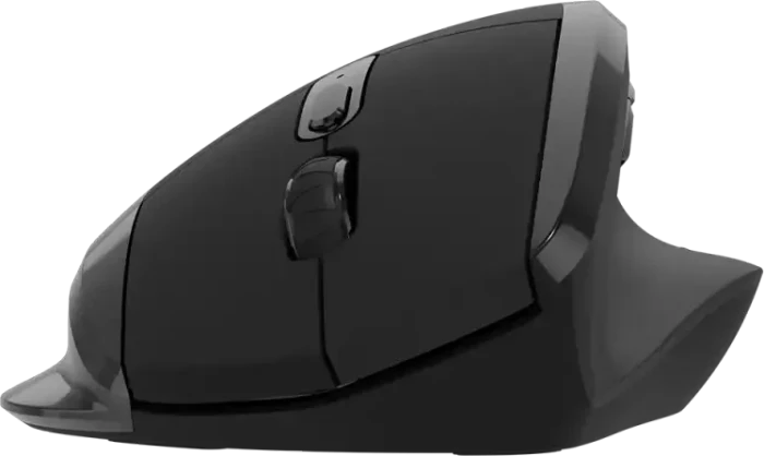 Canyon OnClick 17 Wireless Mouse schwarz, USB