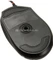 GeIL EpicGear Cyclops Optical Gaming Mouse, USB Vorschaubild