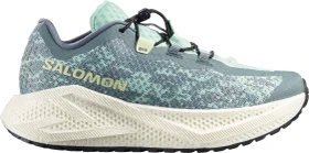Salomon Aero Glide 4 GRVL stormy weather/lichen (Damen)