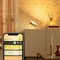 Philips Hue White and Color Ambiance Iris Limited Edition gold Vorschaubild