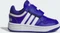 adidas Hoops royal blue/cloud white (Junior) Vorschaubild