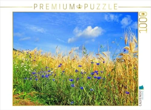 Calvendo Ein Motiv aus dem Kalender Kornblumen - Blaue Schönheiten