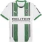 Puma Borussia Mönchengladbach 2024/2025 Heimtrikot (Herren) Vorschaubild