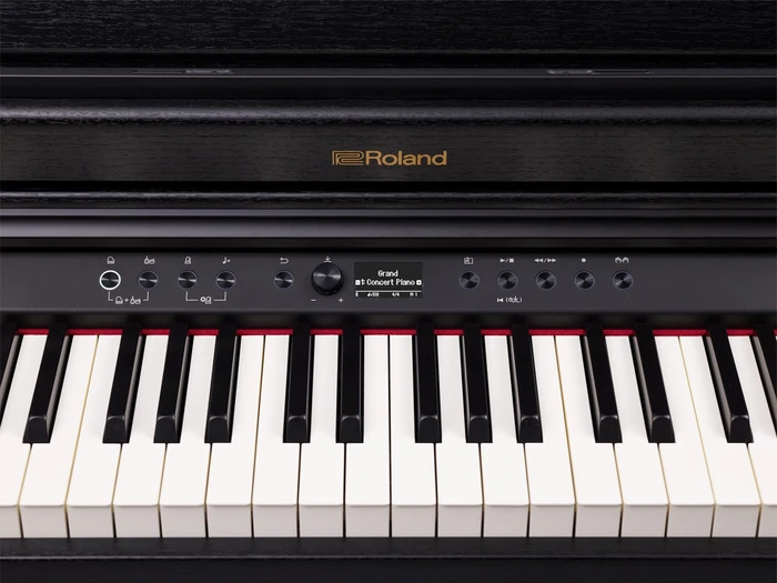Roland RP701 schwarz matt