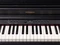 Roland RP701 schwarz matt Vorschaubild