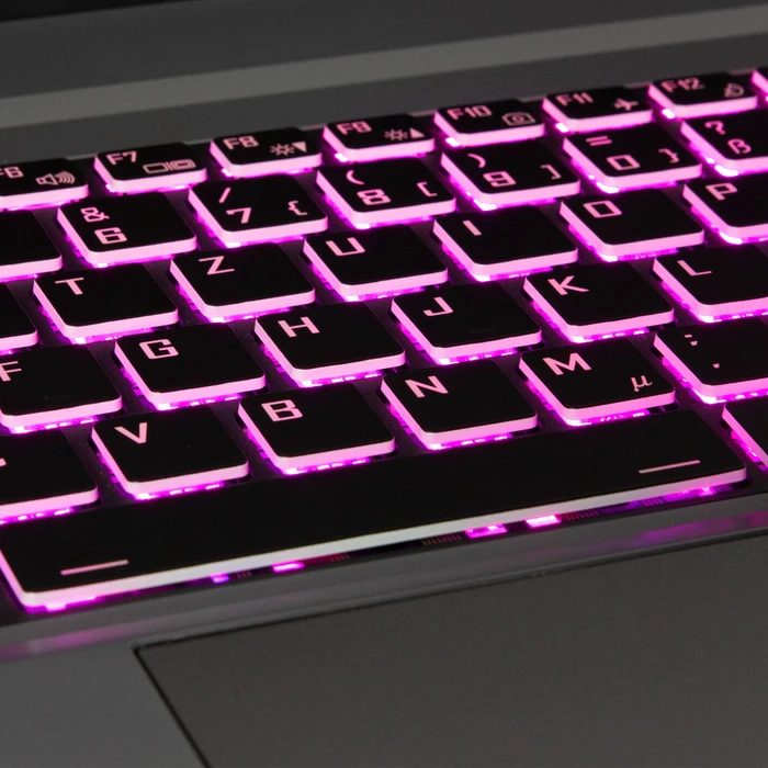 Captiva Advanced Gaming I57-955, Core i7-10750H, 8GB RAM, 480GB SSD, GeForce GTX 1660 Ti, DE