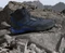 adidas Terrex AX4 Mid GTX shadow navy/wonder steel/semi lucid blue (Herren) Vorschaubild
