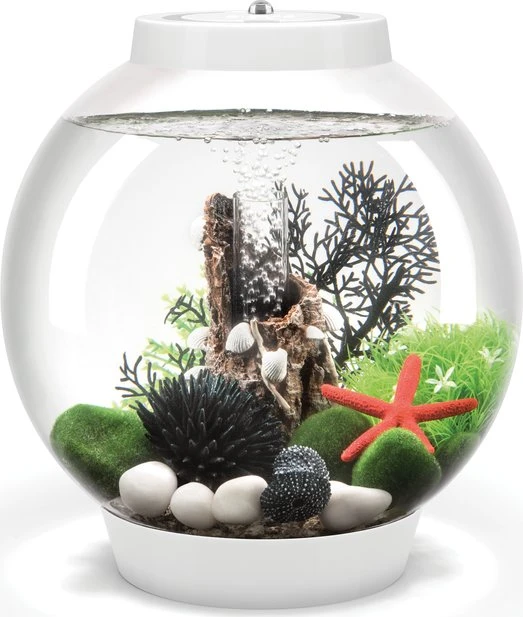 Oase biOrb Classic 30 LED Aquarium