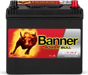 Banner Power Bull P6068