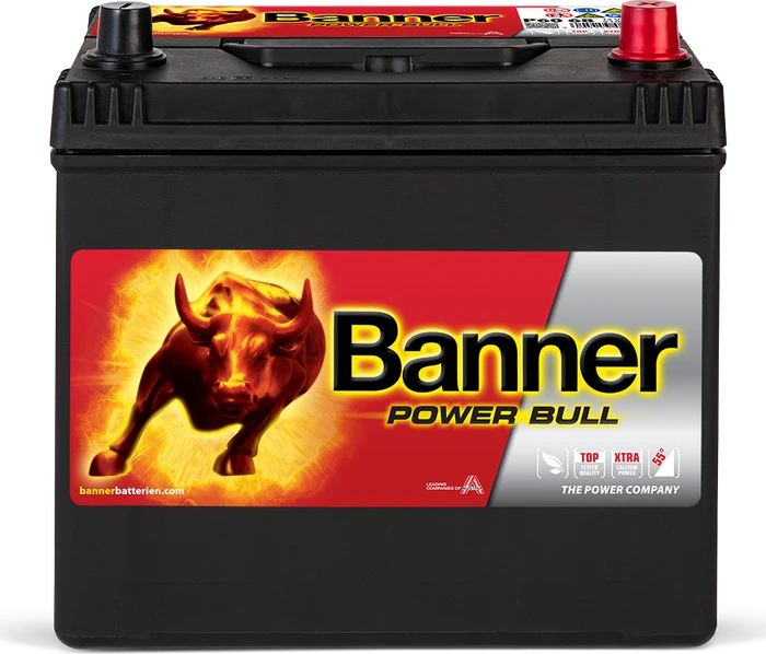 Banner Power Bull P6068
