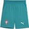 Puma FIFA WM 2026 Portugal Auswärtsshorts green lagoon/puma white (Herren) Vorschaubild