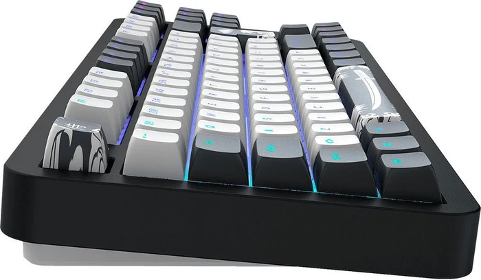 Dark Project ALU87B Bushido Gaming Keyboard, schwarz/weiß, LEDs RGB, g3ms Moonstone, USB, DE