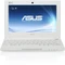 ASUS Eee PC X101CH-WHI003U, weiß, Atom N2600, 1GB RAM, 320GB HDD, DE Vorschaubild