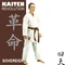 Kaiten Revolution Sovereign Karateanzug weiß Vorschaubild