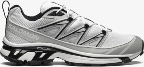 Salomon XT-6 Expanse white/metal/black