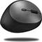 Inca IWM-279G Vertical Wireless Mouse grau, USB Vorschaubild