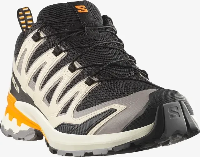 Salomon XA Pro 3D V9 black/gull/turmeric (Herren)