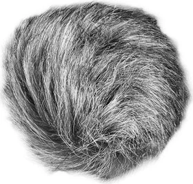 Zoom WSU-1