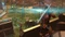 XCOM 2 - War of the Chosen (Download) (Add-on) (PC) Vorschaubild