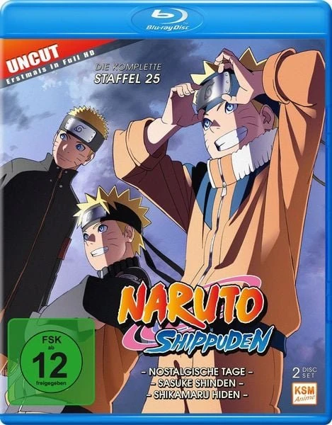 Naruto Shippuden Season 25 (Episode 700-713) (Blu-ray)