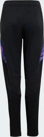 adidas DFB Tiro 24 Competition Trainingshose lang schwarz (Junior)