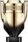 Paco Rabanne Invictus Elixir Parfum Vorschaubild