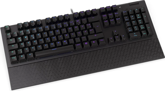 Endorfy Omnis, PBT, LEDs RGB, Kailh RED, USB, DE