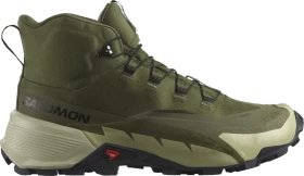 Salomon Cross Hike 2 Mid GTX olive night/moss grey/black (Herren)