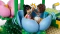 LEGO Friends - Feentassen-Karussell mit Blumendeko Vorschaubild