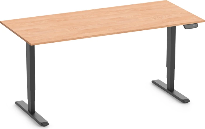 Ergolutions Primus elektrisch höhenverstellbarer Sitz-Steh-Schreibtisch 180x80cm Buche/schwarz