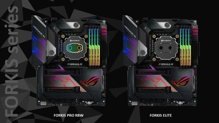 Raijintek Forkis Pro RBW