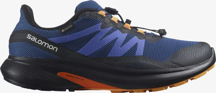 Salomon Hypulse GTX (Herren)