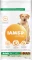 IAMS for Vitality für ausgewachsene Hunde großer Rasse, mit Lamm, 12kg Vorschaubild