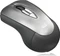 Adesso iMouse P10 Air Mouse Mobil silber/grau, USB-A Vorschaubild