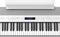 Roland FP-90X weiß Vorschaubild