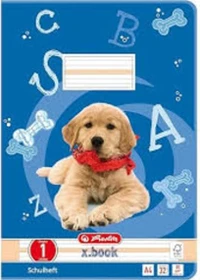 Herlitz x.book Schreibblock, A4, Lineatur 1, 50 Blatt, 5er-Pack