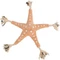 Trixie BE NORDIC Seestern Jane, 32cm, braun Vorschaubild