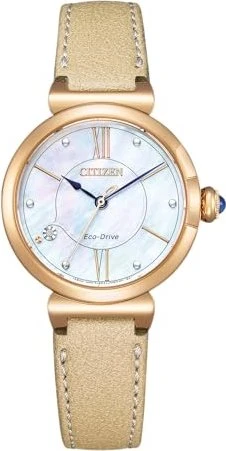 Citizen EM10