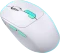 Defender Nitta MM-307 Wireless Optical Mouse weiß/türkis, USB/Bluetooth Vorschaubild