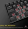 Drevo Calibur V2 TE PC/Mac, LEDs RGB, schwarz, MX RGB RED, USB, DE Vorschaubild
