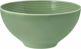 Seltmann Weiden Beat Color Glaze Schüssel 15.7cm salbeigrün
