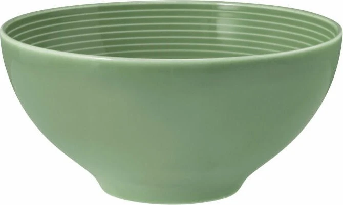 Seltmann Weiden Beat Color Glaze Schüssel 15.5cm