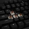 Mountain Everest Core Midnight Black, TKL, LEDs RGB, Gunmetal Gray, MX RGB BROWN, USB, US Vorschaubild