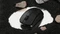 Keychron M2 Wireless Mouse schwarz, 8K PixArt 3950, USB/Bluetooth Vorschaubild