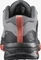 Salomon X Ultra 4 GTX alloy/quiet shade/burnt sienna (Damen) Vorschaubild
