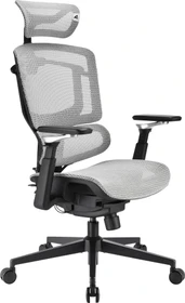 Sharkoon OfficePal C50M Bürostuhl, grau