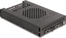 DeLOCK 3.5" Wechselrahmen 2x M.2 NVME SSD